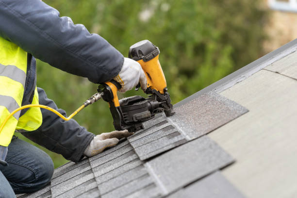 Best Roof Moss and Algae Removal  in Hazel Crest, IL