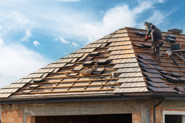 Best Roof Coating and Sealing  in Hazel Crest, IL