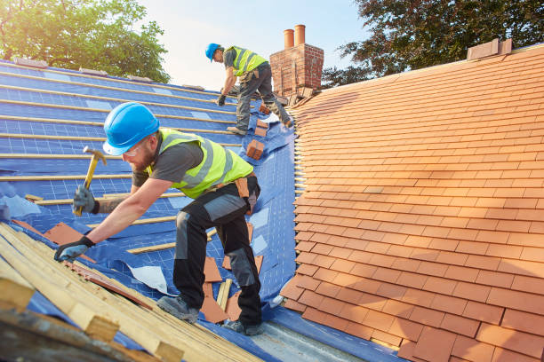 Best Roof Insulation Installation  in Hazel Crest, IL